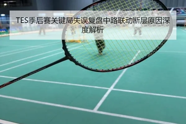 TES季后赛关键局失误复盘中路联动断层原因深度解析