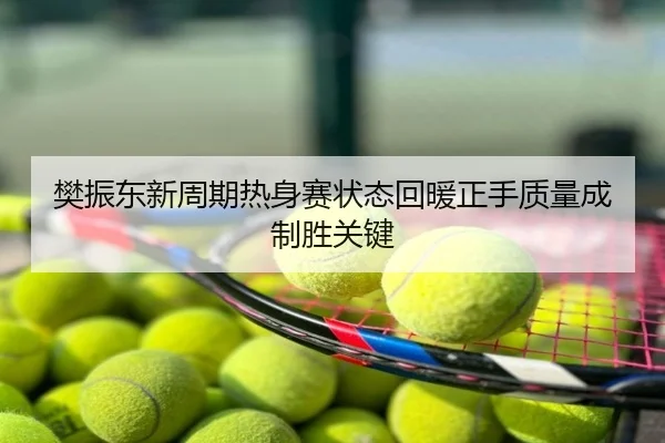 樊振东新周期热身赛状态回暖正手质量成制胜关键