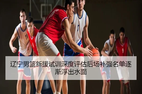 辽宁男篮新援试训深度评估后场补强名单逐渐浮出水面